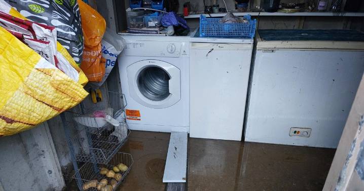 Sewage overflows 'ruin' garages and gardens in Hoo