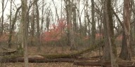 Returning challenge encourages hikers to explore Ice Age Trail in October