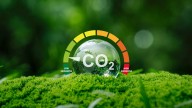 Día contra el cambio climático: un planeta en estado de emergencia