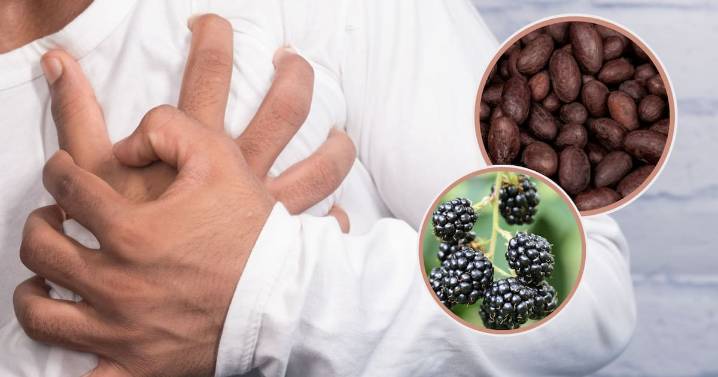 ¿Pasas horas sentado? Estos son los dos alimentos que los expertos recomiendan para cuidar tu corazón