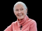 Jane Goodall, the conservationist renowned for chimpanzee research and environmental advocacy, has died