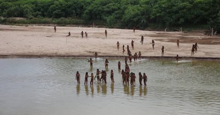 Half of uncontacted Indigenous tribes "could be wiped out" in 10 years, report says. Here's what  to know.