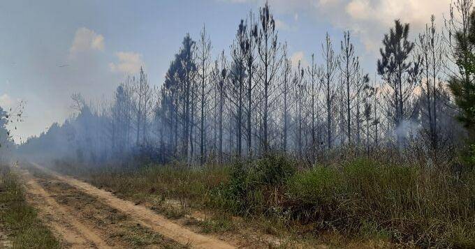 Wildfire south of Jasper was difficult to reach for firefighters