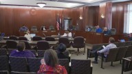 Legislators' opinions differ as interim county executive vote approaches
