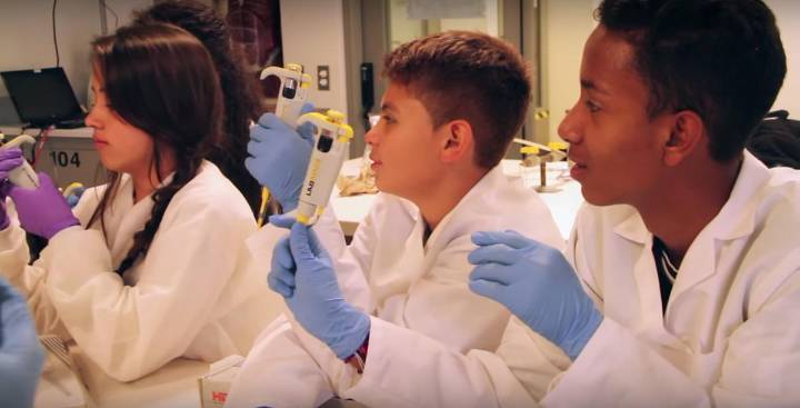 Universidad de Nariño apoya la Semana Nacional de la Ciencia en...