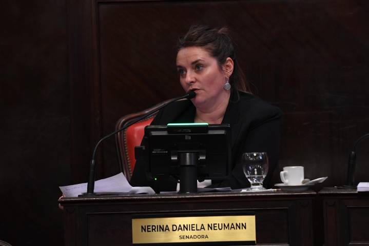 El Senado bonaerense aprobó la adhesión al Régimen Federal de Empleo Protegido para Personas con Discapacidad