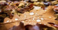 Not quite the fall classic, but a mostly dry weekend ahead
