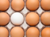 ¿Revuelto, frito o cocido? Esta es la forma ideal de comer el huevo para aprovechar todos sus beneficios