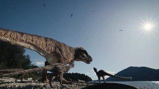 Los dinosaurios eran muy diversos y variados