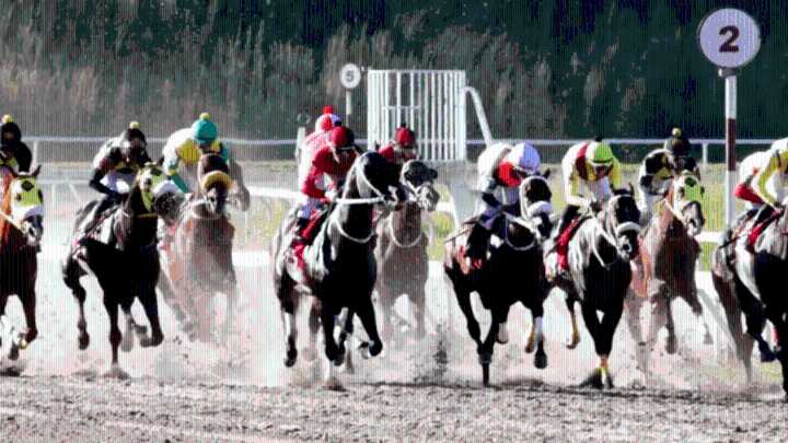 INH: Resultados del Hipódromo La Rinconada, domingo 19