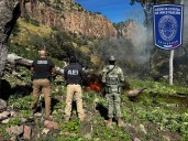 Cañón La Sierrita: zona caliente de mariguana entre Chihuahua y Namiquipa