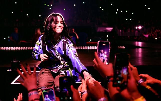 Billie Eilish violently pulled into crowd at Miami concert
