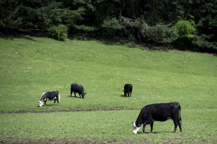 Expensive beef pinches Clark County businesses as well as consumers