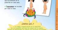 Sevilla elimina de los colegios los cuadernillos de educación sexual creados en la etapa socialista