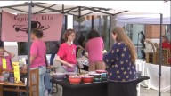 Perkins Rowe Arts Festival returns Saturday with crafts, jewelry