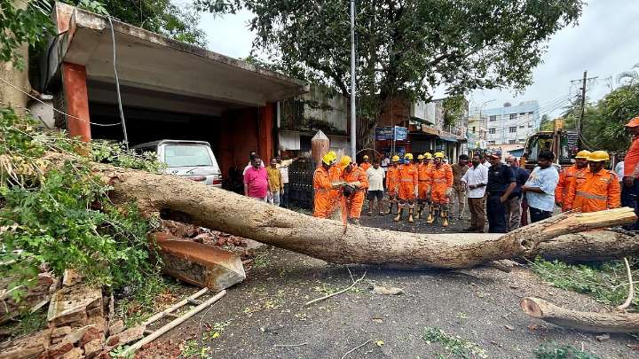 Cyclone Montha: Woman Killed As Tree Falls In Andhra’s Konaseema; Heavy Rains Lash Coastal Districts