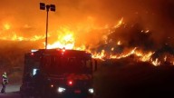 "Avance rápido": Incendio forestal afecta ladera del cerro Renca