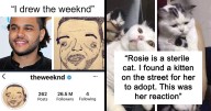 “Very Important Positivity”: If You Are Feeling Down, These 41 Wholesome Posts Might Make Your Day