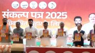 Bihar NDA Manifesto: 1 Crore Govt Jobs, Metro In 4 Cities, 7 New Expressways And More