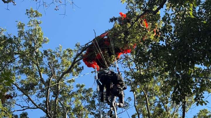 Instructor dies in Nashville skydiving incident, 2nd skydiver rescued from tree
