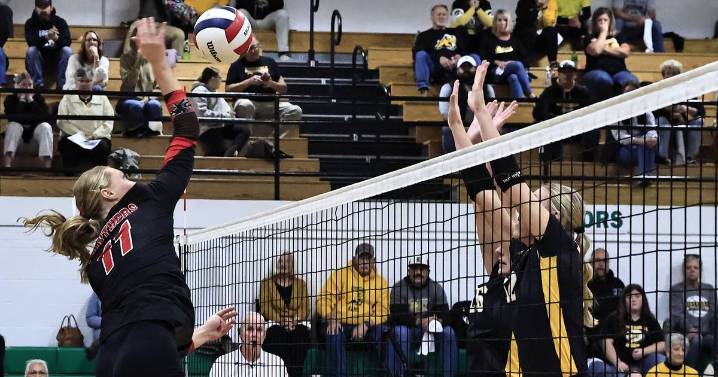 Erie-Prophetstown falls to red-hot Riverdale in regional final – Shaw Local