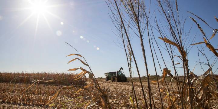Harvest ‘in full swing’ across Iowa, rain welcome to reduce dust and fires