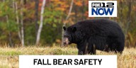 Talking safety around bears & their fall ‘eat