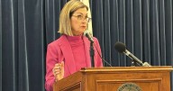 Here are the recommendation in the Iowa DOGE Task Force’s final report