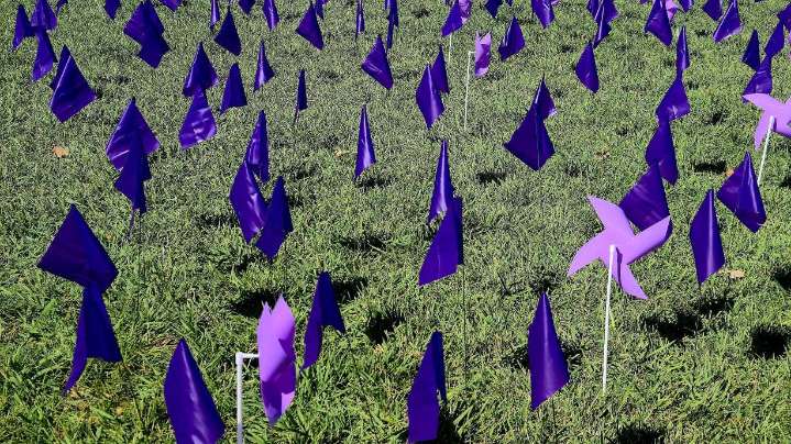 West Jordan displays scale of domestic violence with field of flags, pinwheels