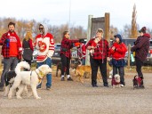 'A very dark day for education': Teachers, parents worry over province's back