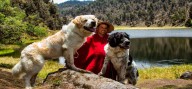 Perros Mucuchíes, a un paso de ser registrados como raza internacional