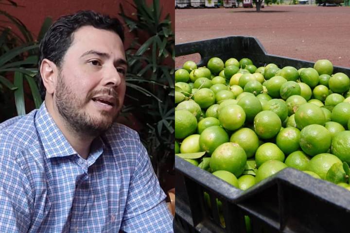 Encuentran sin vida a Bernardo Bravo, productor limonero de Michoacán