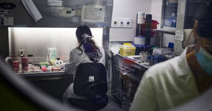 La Audiencia de Barcelona anula la intervención judicial de Cellex y Mir Puig