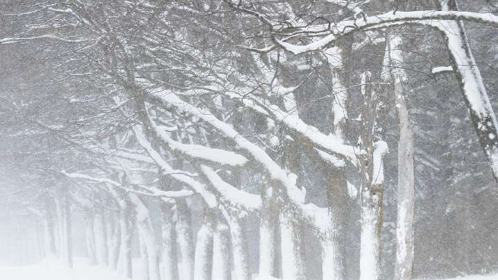 When will season's first snow arrive? What to expect in Northern Michigan