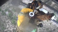 Rescatan en helicoptero a perro en Arizona al caerse de un cañón