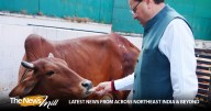 Uttarakhand CM Dhami offers prayers on Govardhan Puja, highlights cow protection, conservation efforts