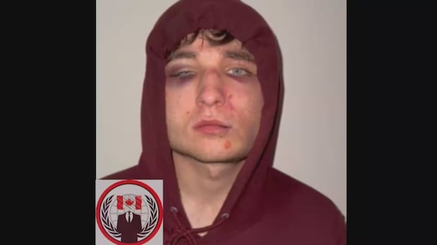 Man pleads guilty to 9 charges in kidnapping of ‘Crypto King’ Aiden Pleterski