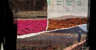 The Costs of the Green Transition