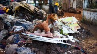 Suman 76 Muertos y 31 Personas No Localizadas por Lluvias Extraordinarias en 5 Estados