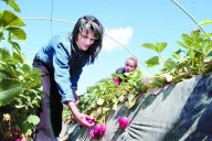 El sector agrícola de Huelva convoca a 11 alcaldes para unir fuerzas y exigir al Gobierno un contingente GECCO suficiente que garantice las campañas
