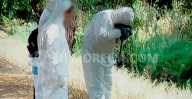 Encuentran cráneo y ropa en limites de Capula y Tacícuaro