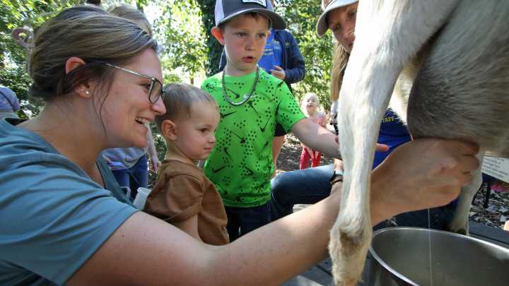 Mountaineer Days festival returns to KM this weekend