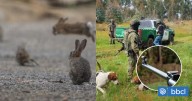 Asalto a cazadores en Ercilla: APRA califica de "amenaza" leyenda con su nombre hallada en el sitio