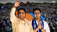 Has the elephant woken up after 4 years?