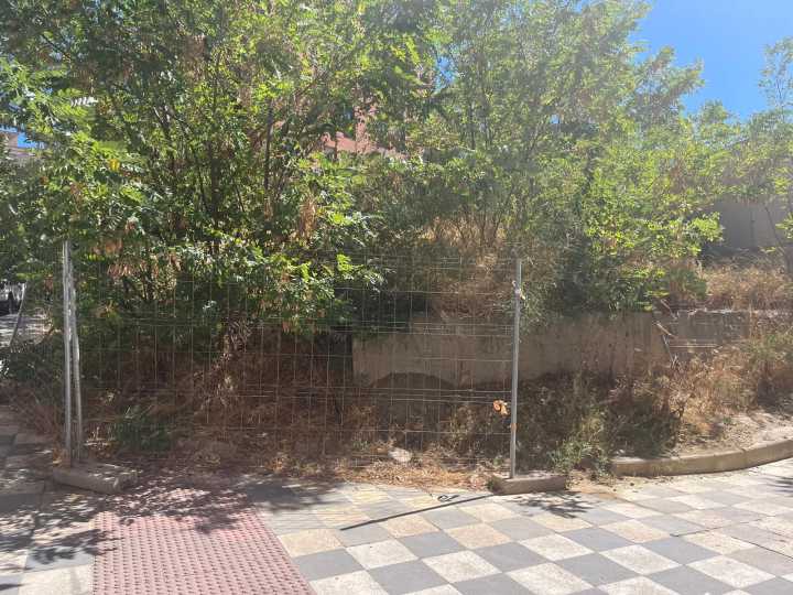 Compromiso municipal para desbrozar y limpiar el solar anejo al Colegio La Paz