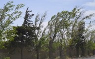 Fin de semana ventoso y con descenso de temperaturas en San Luis