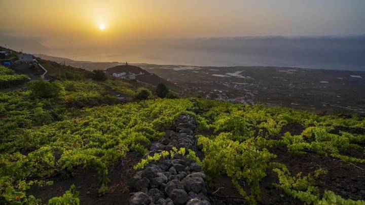 Cinco siglos de viticultura heroica en El Hierro