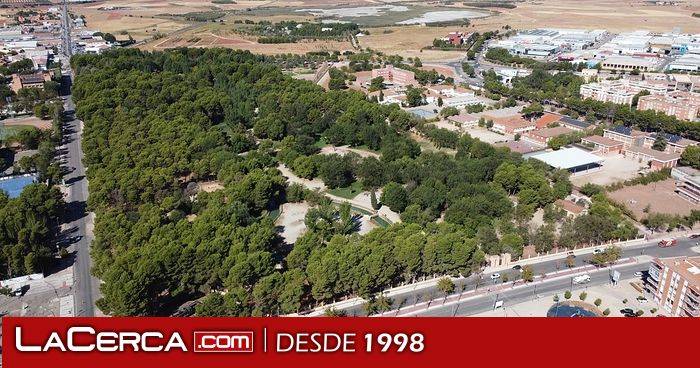 Alcázar realizará este martes el tratamiento preventivo frente a la procesionaria del pino en varias zonas de la ciudad