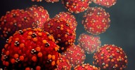 Measles outbreak spreading across Western Australia as cases surge