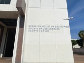 Man receives 15-year prison sentence for killing woman in South LA